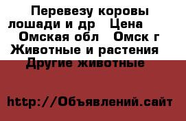 Перевезу коровы лошади и др › Цена ­ 15 - Омская обл., Омск г. Животные и растения » Другие животные   